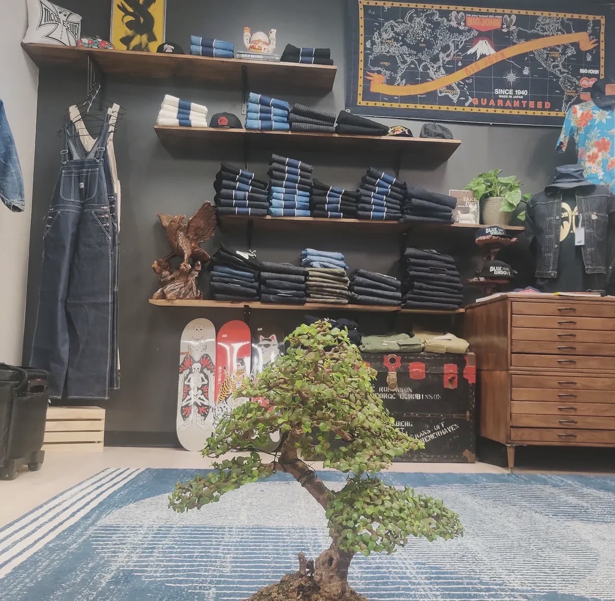 Shelves of folded Japanese denim behind the shop bonsai at Oka General Store