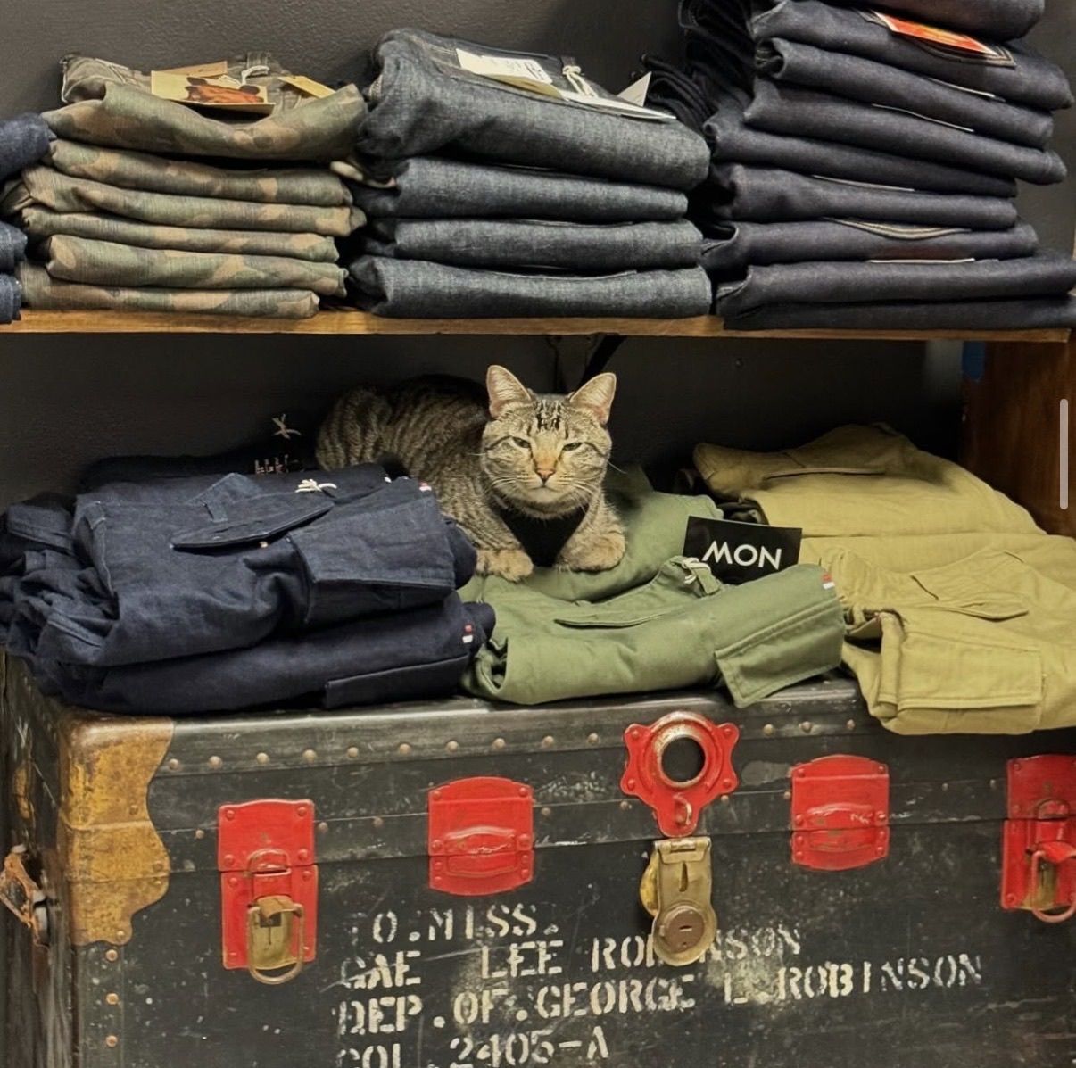 The shop cat lounging on a stack of folded work pants