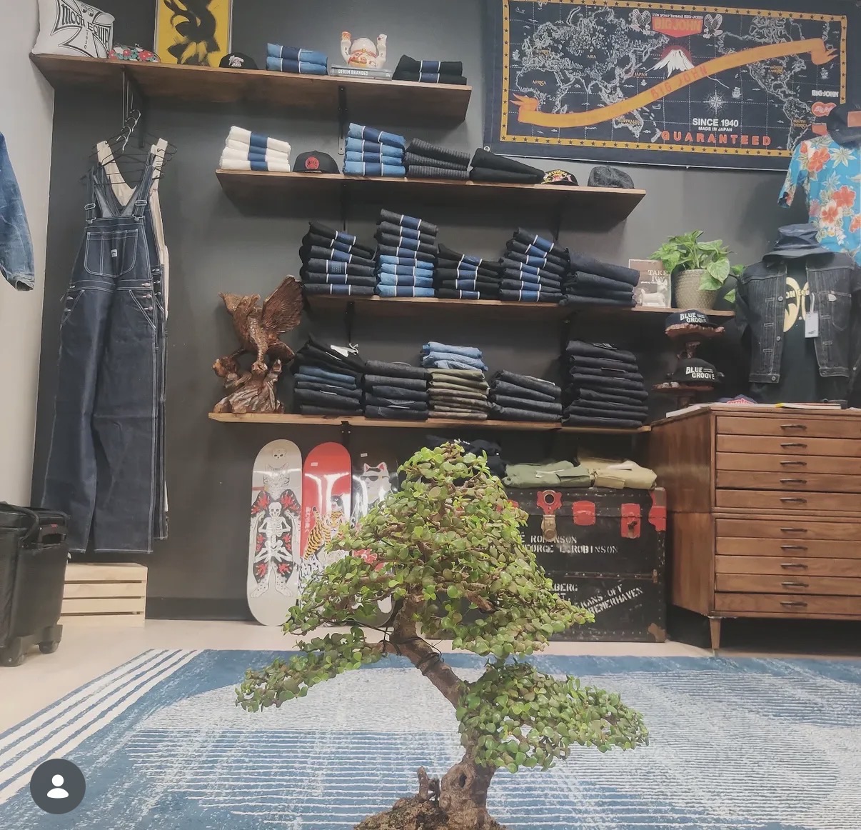 The shop floor at 1255 19th St — denim shelves, skate decks, and the shop bonsai